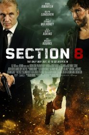 ดูหนังใหม่ล่าสุด SECTION 8 (2022)